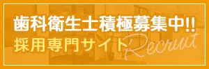 採用専門サイト